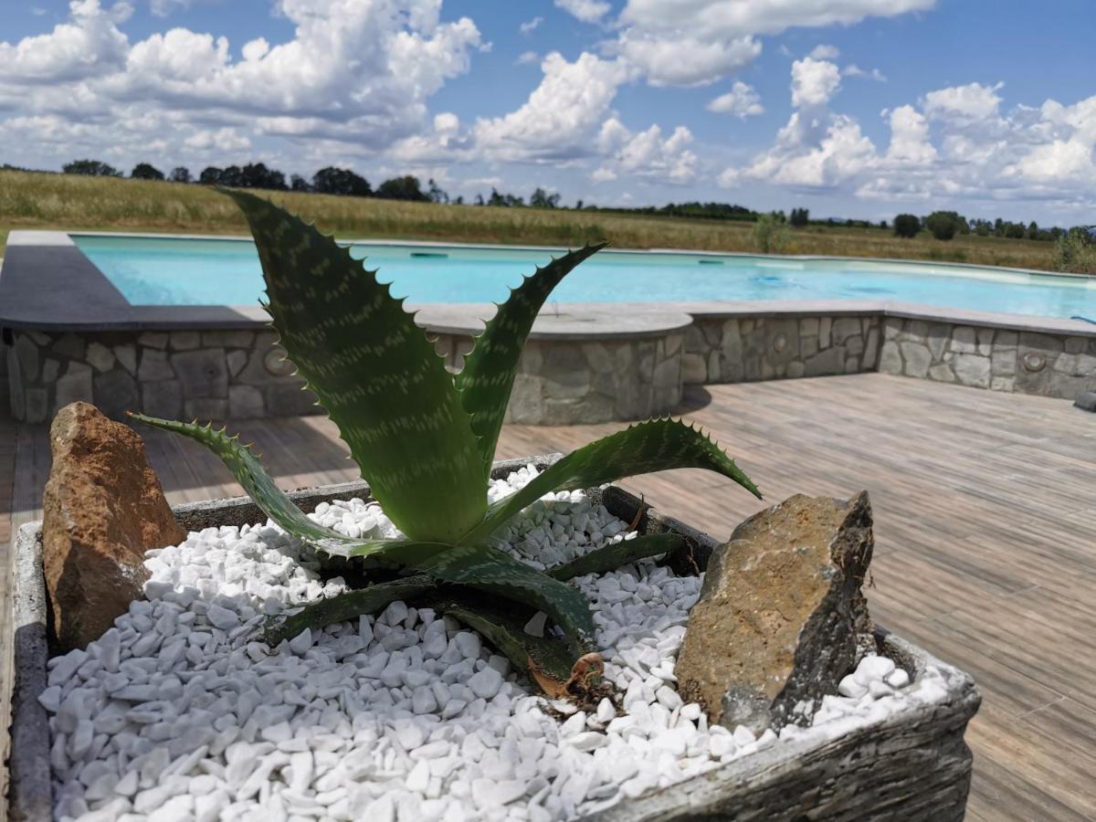 Casale Dei Gelsi Panzió Castiglione In Teverina Kültér fotó